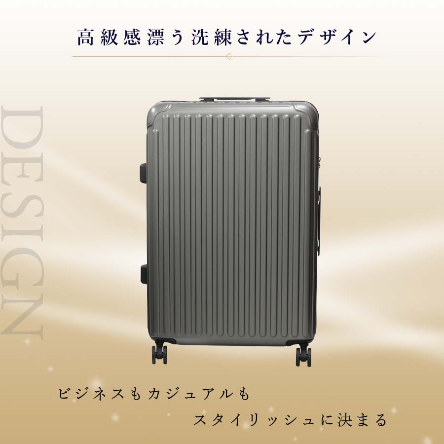 Ginza Karen ストライプタイプスーツケースLサイズ(28インチ)