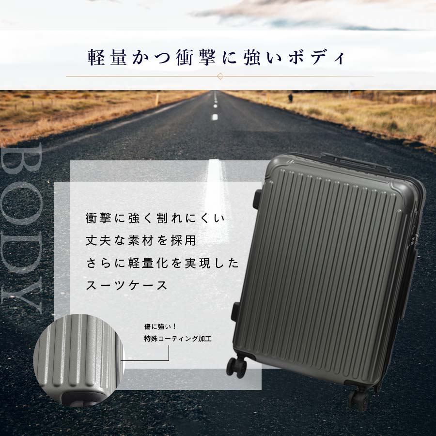 Ginza Karen Stripe Type Suitcase Large (28 inches)