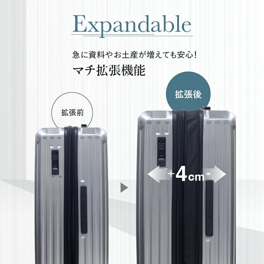 Ginza Karen Stripe (Hairline) Suitcase with Stopper